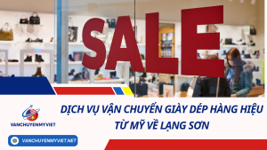 Dịch vụ vận chuyển giày dép hàng hiệu từ Mỹ về Lạng Sơn