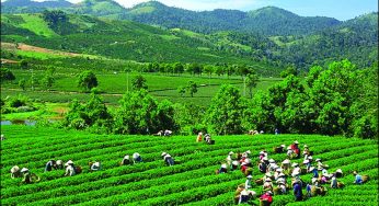 Dịch vụ vận chuyển điện thoại xách tay từ Mỹ về Thái Nguyên nhanh chóng