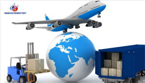 Dịch vụ vận chuyển hàng hóa từ Boston về Việt Nam uy tín, chuyên nghiệp