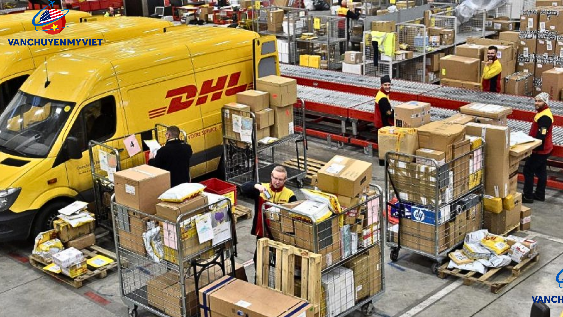 Chuyển hàng xách tay, cargo từ Plano, Mỹ về Việt Nam uy tín, chuyên nghiệp