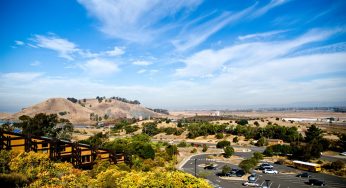 Dịch vụ chuyển phát nhanh từ Fremont, Mỹ về Việt Nam giá rẻ, nhanh chóng