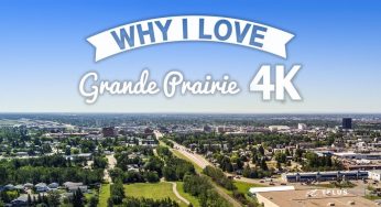 Gửi hàng từ Grand Prairie, Mỹ về Việt Nam uy tín, chất lượng, tiết kiệm