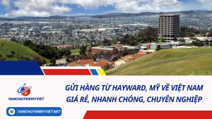 Gửi hàng từ Hayward, Mỹ về Việt Nam giá rẻ, nhanh chóng, chuyên nghiệp