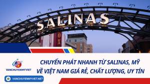 Chuyển phát nhanh từ Salinas, Mỹ về Việt Nam giá rẻ, chất lượng, uy tín