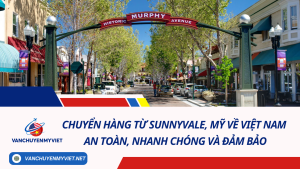 Chuyển hàng từ Sunnyvale, Mỹ về Việt Nam an toàn, nhanh chóng và đảm bảo