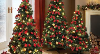 Gửi cây thông Noel từ Hà Nội đi New York ưu đãi 2023
