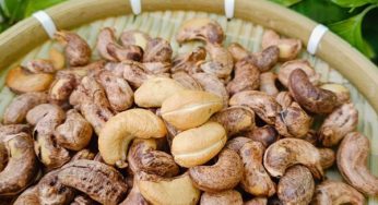 Dịch vụ vận chuyển hạt điều đi Mỹ nhanh chóng, giá rẻ