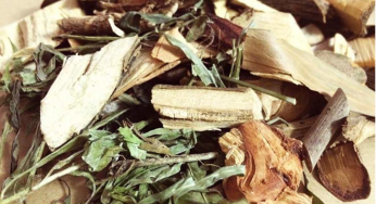Dịch vụ vận chuyển thuốc Nam đi Mỹ nhanh chóng, giá rẻ
