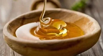 Vận chuyển kẹo mạch nha từ Hải Phòng đi Mỹ nhanh chóng