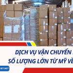 Dịch vụ vận chuyển hàng số lượng lớn từ Mỹ về TP. HCM 2024