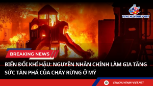 Biến đổi khí hậu: Nguyên nhân chính làm gia tăng sức tàn phá của cháy rừng ở Mỹ