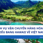 Dịch vụ vận chuyển hàng hóa từ tiểu bang Hawaii về Việt Nam