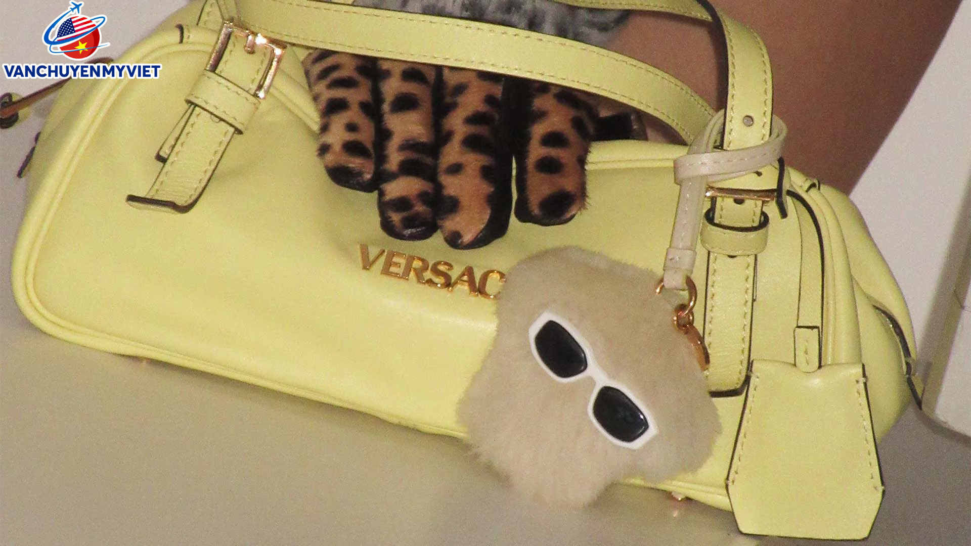 Nguồn Gốc Của Cái Tên Versace