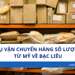 Dịch Vụ Vận Chuyển Hàng Số Lượng Lớn Từ Mỹ Về Bạc Liêu