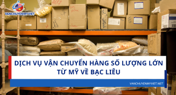 Dịch Vụ Vận Chuyển Hàng Số Lượng Lớn Từ Mỹ Về Bạc Liêu
