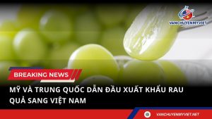 Việt Nam Chi Hơn 1,5 Tỷ USD Nhập Rau Quả Từ Mỹ, Trung Quốc Trong Năm 2024