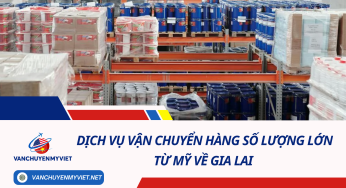 Dịch Vụ Vận Chuyển Hàng Số Lượng Lớn Từ Mỹ Về Gia Lai