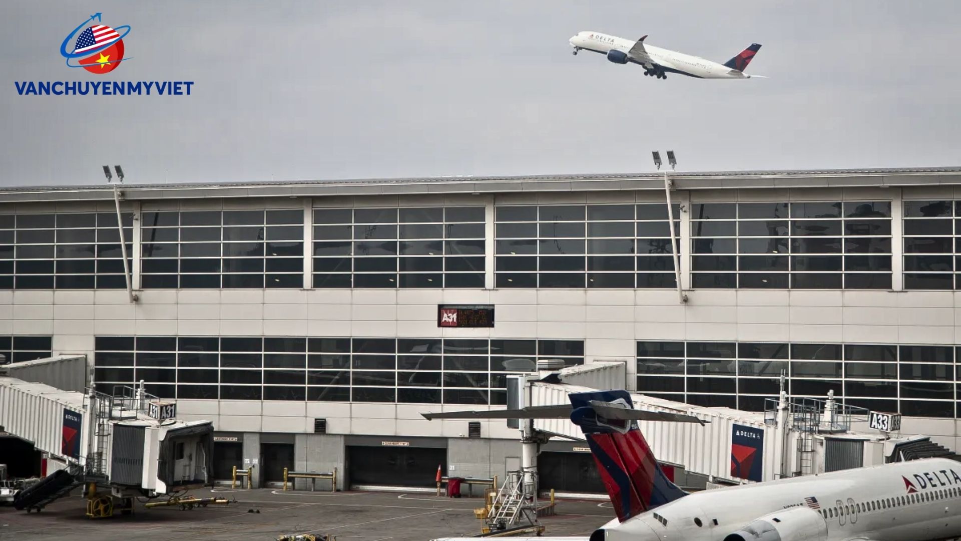 Dịch Vụ Booking Tải Hàng Không Từ Sân Bay Quốc Tế Detroit (DTW) Về Sân Bay Nội Bài, Hà Nội (HAN)