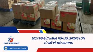 DỊCH VỤ GỬI HÀNG HÓA SỐ LƯỢNG LỚN TỪ MỸ VỀ HẢI DƯƠNG SỐ 1