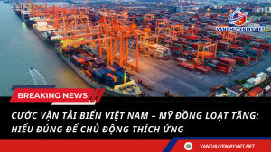 Cước vận tải biển Việt Nam – Mỹ đồng loạt tăng: Hiểu đúng để chủ động thích ứng
