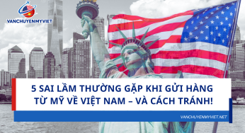 5 Sai Lầm Thường Gặp Khi Gửi Hàng Từ Mỹ Về Việt Nam – Và Cách Tránh!
