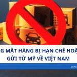 Những Mặt Hàng Bị Hạn Chế hoặc Cấm Gửi Từ Mỹ Về Việt Nam – Bạn Đã Biết Chưa?