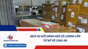 DỊCH VỤ GỬI HÀNG HÓA SỐ LƯỢNG LỚN TỪ MỸ VỀ LONG AN SỐ 1