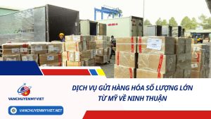 DỊCH VỤ GỬI HÀNG HÓA SỐ LƯỢNG LỚN TỪ MỸ VỀ NINH THUẬN SỐ 1