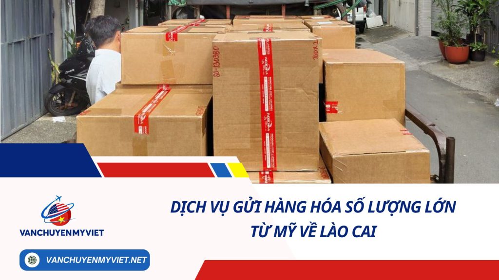 DỊCH VỤ GỬI HÀNG HÓA SỐ LƯỢNG LỚN TỪ MỸ VỀ LÀO CAI SỐ 1