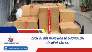 DỊCH VỤ GỬI HÀNG HÓA SỐ LƯỢNG LỚN TỪ MỸ VỀ LÀO CAI SỐ 1