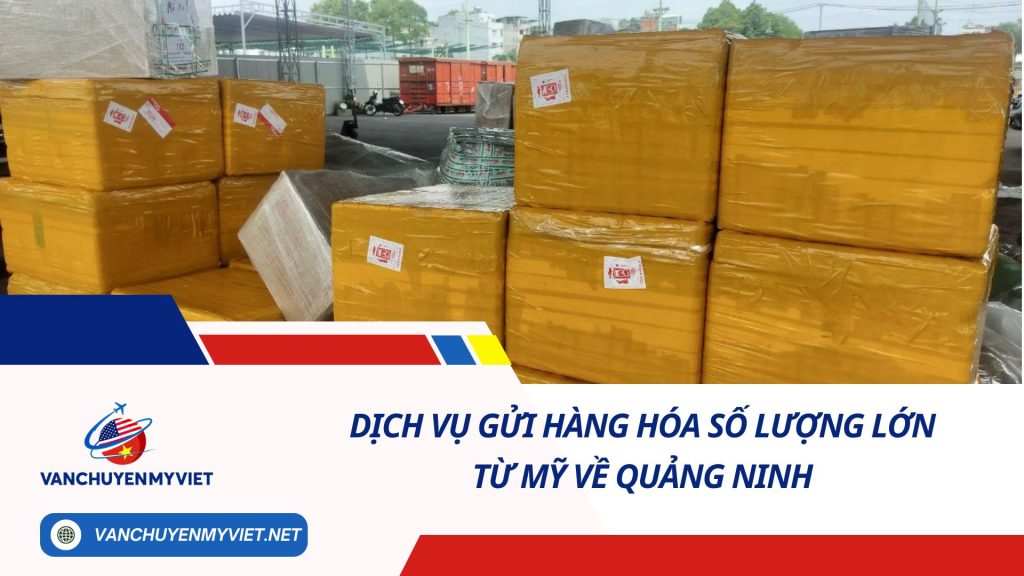 DỊCH VỤ GỬI HÀNG HÓA SỐ LƯỢNG LỚN TỪ MỸ VỀ QUẢNG NINH SỐ 1