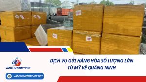 DỊCH VỤ GỬI HÀNG HÓA SỐ LƯỢNG LỚN TỪ MỸ VỀ QUẢNG NINH SỐ 1
