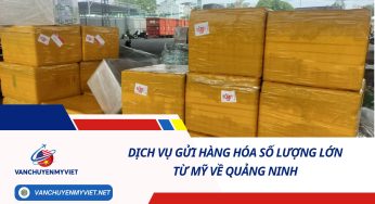 DỊCH VỤ GỬI HÀNG HÓA SỐ LƯỢNG LỚN TỪ MỸ VỀ QUẢNG NINH SỐ 1