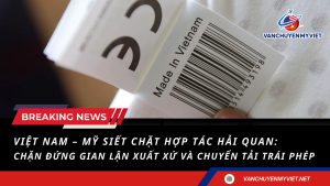 Việt Nam – Mỹ siết chặt hợp tác Hải quan: Chặn đứng gian lận xuất xứ và chuyển tải trái phép