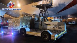 Dịch Vụ Booking Tải Hàng Không Từ Sân Bay Quốc Tế Fort Lauderdale–Hollywood (FLL)Về Sân Bay Nội Bài, Hà Nội (HAN)