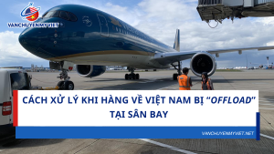 Cách Xử Lý Khi Hàng Về Việt Nam Bị “Offload” Tại Sân Bay