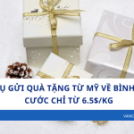 Dịch Vụ Gửi Quà Tặng Từ Mỹ Về Bình Thuận – Cước chỉ từ 6.5$/kg