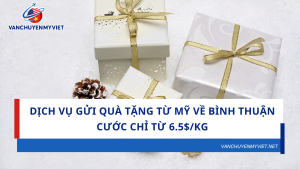 Dịch Vụ Gửi Quà Tặng Từ Mỹ Về Bình Thuận – Cước chỉ từ 6.5$/kg