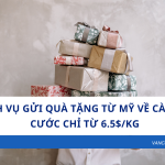 Dịch Vụ Gửi Quà Tặng Từ Mỹ Về Cà Mau - Cước chỉ từ 6.5$/kg