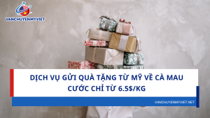 Dịch Vụ Gửi Quà Tặng Từ Mỹ Về Cà Mau - Cước chỉ từ 6.5$/kg