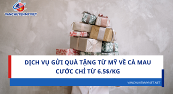 Dịch Vụ Gửi Quà Tặng Từ Mỹ Về Cà Mau – Cước chỉ từ 6.5$/kg