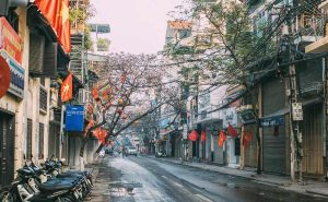 Tết 2026 xa quê: Những món quà thường gửi từ Việt Nam sang Mỹ