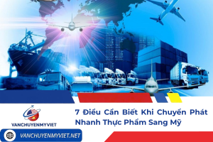 Tìm hiểu 7 điều cần biết khi chuyển phát nhanh thực phẩm sang Mỹ, từ quy định nhập khẩu, cách đóng gói, khai báo hải quan đến thời gian và chi phí vận chuyển.